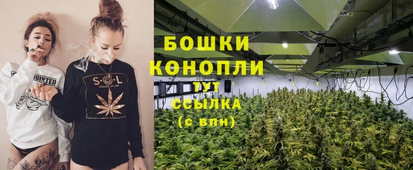 mdpv Медвежьегорск