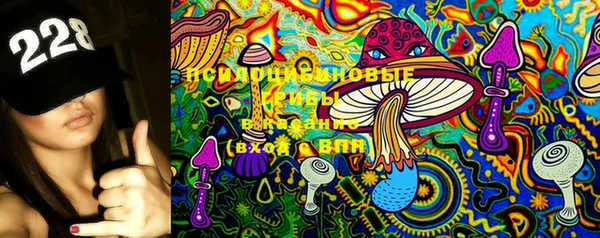 марки lsd Медногорск